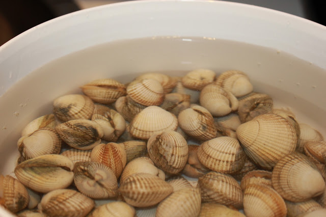 panela-da-ceci-linguini-vongole-italia-liguria-3