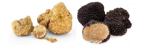 panela-da-ceci-trufa-tartufo-truffle-truffe-1