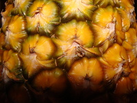 panela_da_ceci_frutas_abacaxi2